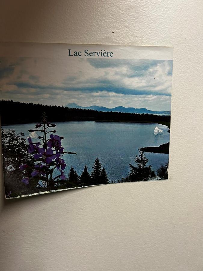 Super-Besse Residence Le Lac Bleu Serviere Chez Lorenzo Et Severine Zewnętrze zdjęcie